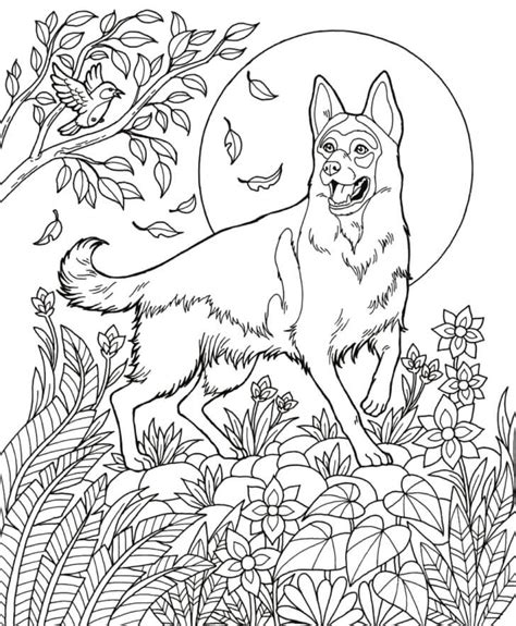 coloring pages  german shepherd dog  dog coloring pages  kids