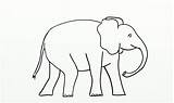 Elephant Elephants Printablee sketch template