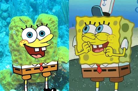 spongebob spongebob characters in real life