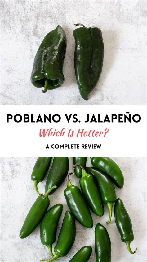 poblano  jalapeno   hotter complete review