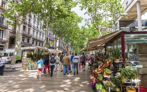 paseamos por la rambla  descubrimos sus principales puntos de interes