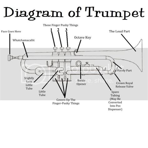 diagram  trumpet photo  cbradwhitfield photobucket