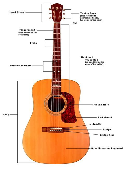 guitar parts learn acoustic guitar acoustic guitar lessons guitar