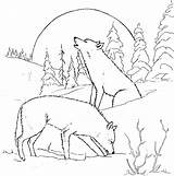 Wolf Coloring Pages Printable Animal Wild Print Wolves Colouring Kids Sheet Adults Winter sketch template