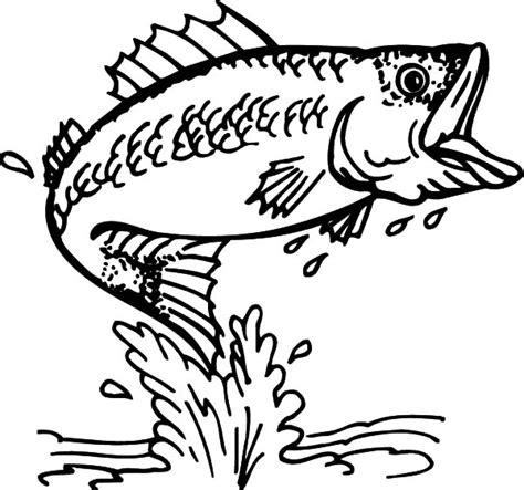 cathing bass fish coloring pages  place  color