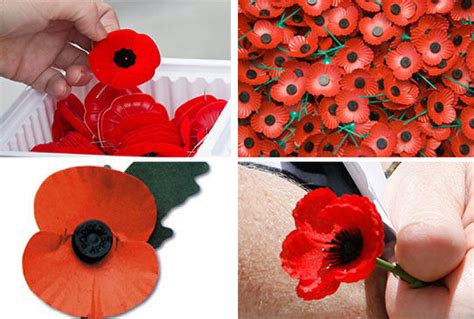 why not all poppies look the same the star
