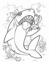 Shark Grosenick Candice sketch template