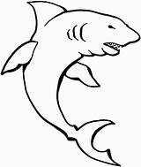Coloring Shark Whale Pages Popular sketch template
