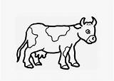 Cow Coloring Baby Pages Kids Cartoon Drawing Simple Animals Face Cows Clipart Cute Clipartbest Getcolorings Printable Color Getdrawings Book sketch template