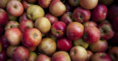 michigan apple orchard owners  retire   years