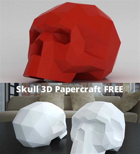 introducing  paper model  human skull   easily create paper