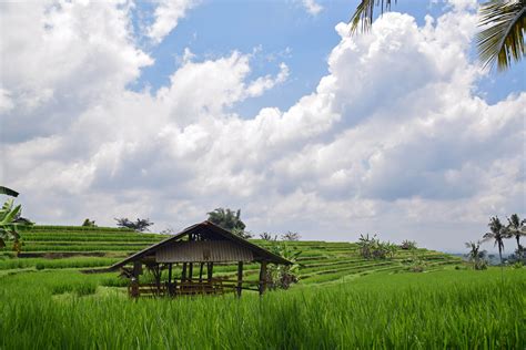 Gambar Panorama Indonesia – Pulp