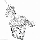 Unicorn Coloring Pages Detailed Pdf Christmas Printable Color Colouring Print Getcolorings Fairies Getdrawings Col Colorings Fairy Tooth Colou sketch template