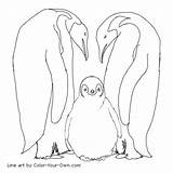 Emperor Penguins Penguin Coloring Pages Color Printable Baby Drawing Kids Template Line Drawings Own Choose Board Sketch Print Sketchite Belly sketch template
