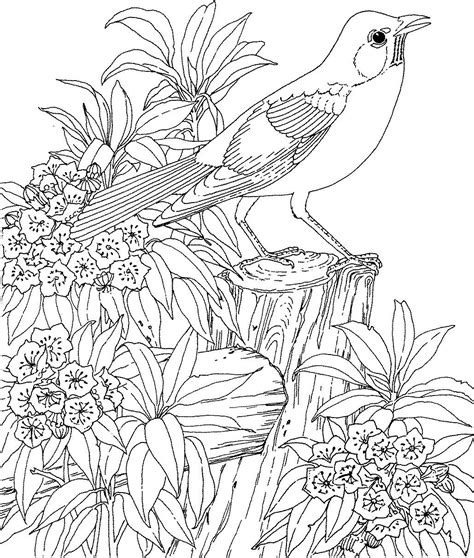 adults  print colouring pages