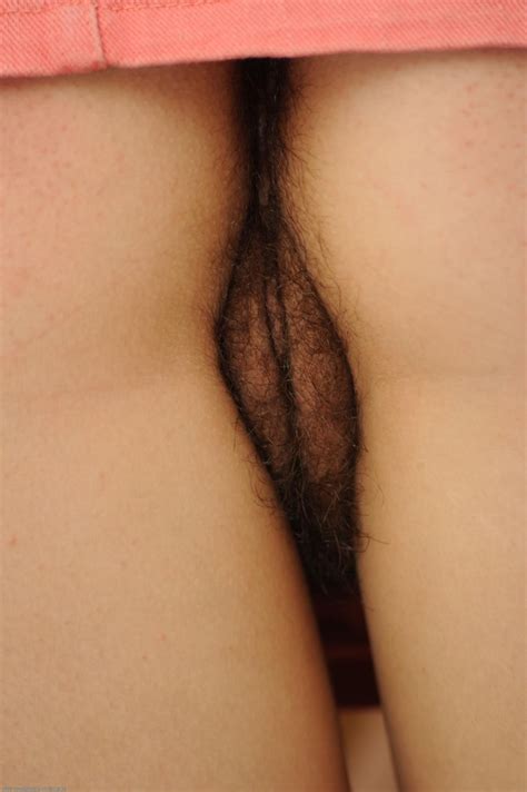 hairy porn pic hairy pussy upskirt