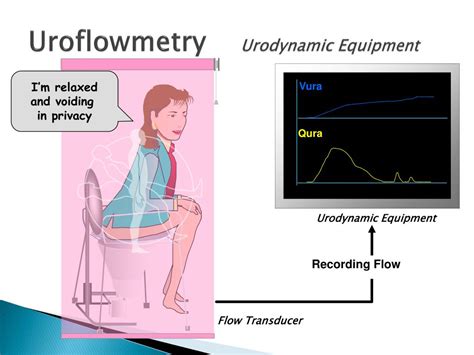 Ppt Urodynamic Assessment In Women With Urinary Incontinence