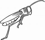 Grasshopper Coloring Locust Clipart Drawing Clip Cliparts Kids Pages Clipartpanda Printable Gif Outline Library Use Presentations Projects Websites Reports Powerpoint sketch template