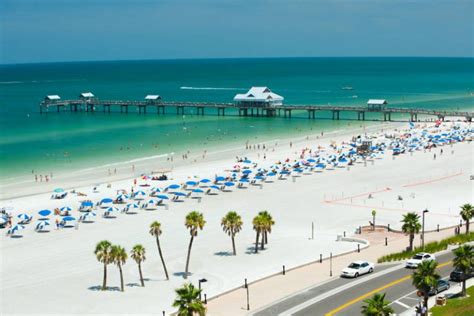 clearwater beach tampa bay beaches chamber  commerce