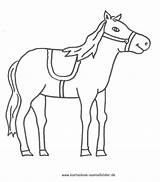 Pferde Ausmalbilder Ausmalen Pferd Malvorlagen Tiere Malvorlage Kostenlose Sattel Reh Urkunden Kinder sketch template