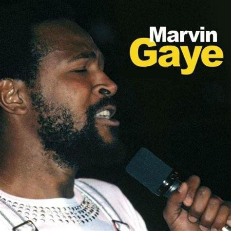 Karaoke De Marvin Gaye