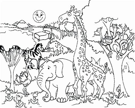 jungle coloring pages  preschoolers luxury  forest coloring