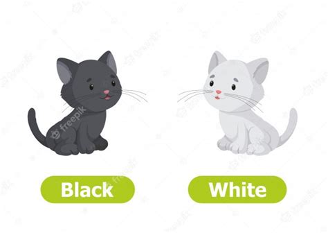premium vector vector antonyms  opposites black  white