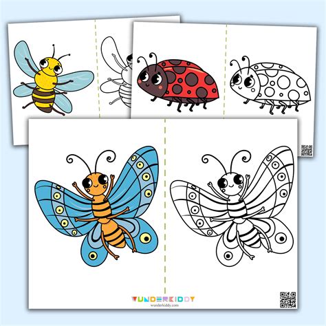 insects coloring pages  kids printable