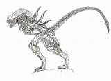 Predalien sketch template