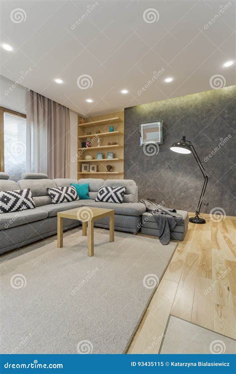spacious grey living room stock image image  floor