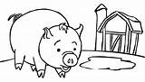 Cerdos Colorir Cerditos Porquinhos Pasar Anipedia Pig Peppa Recortar sketch template