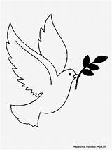 Burung Merpati Sketsa Terbang Mewarnai sketch template