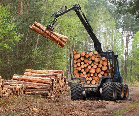 buy  sell timber timber sales logging