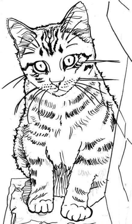 cute kitten cat drawing tutorial animal drawings cat drawing