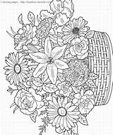 Adults Coloring Pages Only Miracle Timeless Printable sketch template