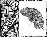 Zentangle Lizard Coloring Animal Colouring Chameleon Intricate Instant sketch template