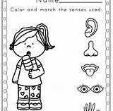 Senses Coloring Pages Five Preschool Worksheets Kids Sense Printables Printable Preschoolers Worksheet Kindergarten Toddler Activities Clipart Color Science Sheets Print sketch template