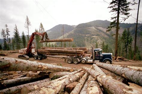 drought conditions put brakes  summer season logging washingtons