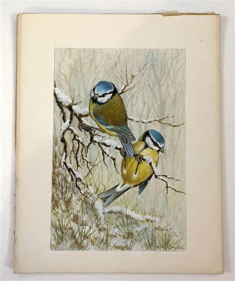 Ella Bruce Christmas Winter English Watercolor Of A Robin Standing On