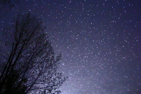 filenight sky stars trees jpg