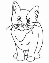 Coloring Sad Kitten Very Pages sketch template