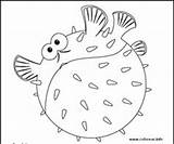 Nemo Finding Bloat Starfish Bait sketch template