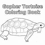Gopher Tortoise Coloring Book Educational Materials sketch template