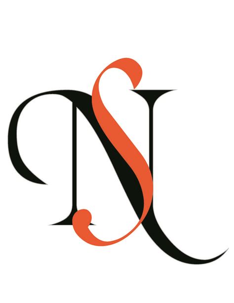 sn logos images  pinterest ns logo graphic design logos  logo branding