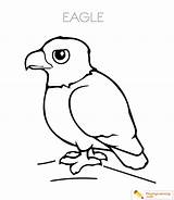 Eagle Coloring Date sketch template
