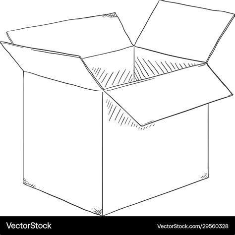 sketch open cubicle cardboard box royalty  vector image