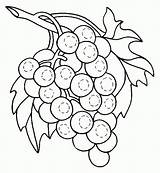 Uvas Cacho Pintar Fruta sketch template
