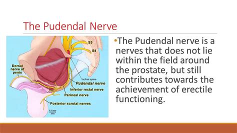 treatment options for post prostatectomy erectile dysfunction youtube