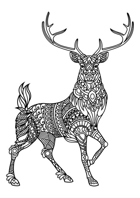 book deer deers adult coloring pages