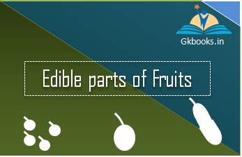 types  fruits   edible parts gkbooks